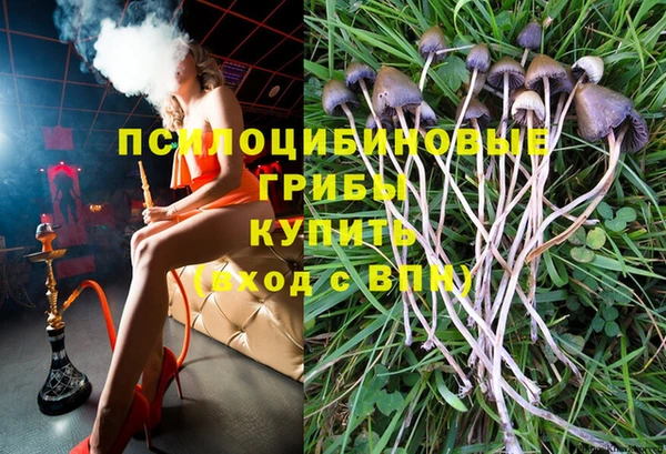 гашик Жердевка